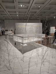 560655211971215432_1